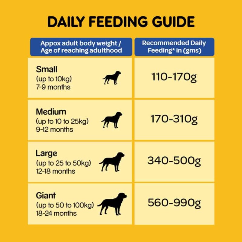 Pedigree Chicken & Vegetables Adult Dry Dog Food