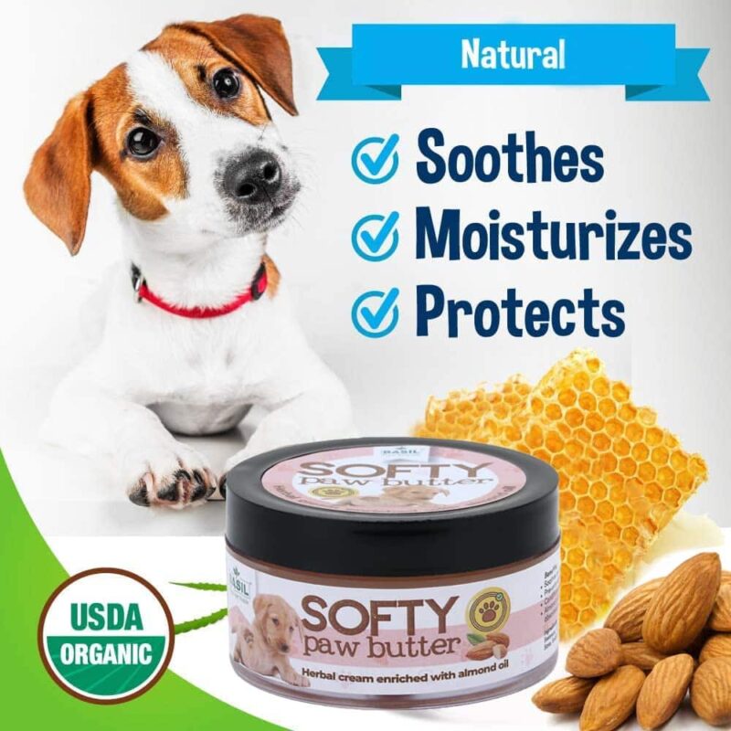 Basil Softy Paw Butter Herbal Cream Enriched with Almond Oil - 50gm