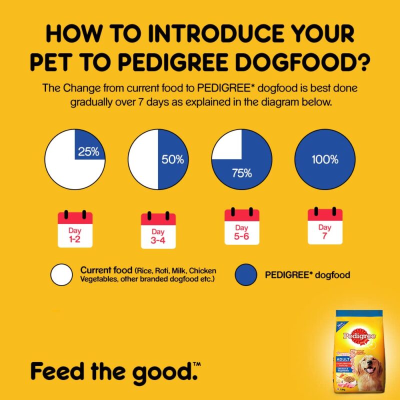 Pedigree Chicken & Vegetables Adult Dry Dog Food