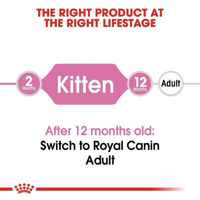 Royal Canin Second Age Kitten 36 Dry Food