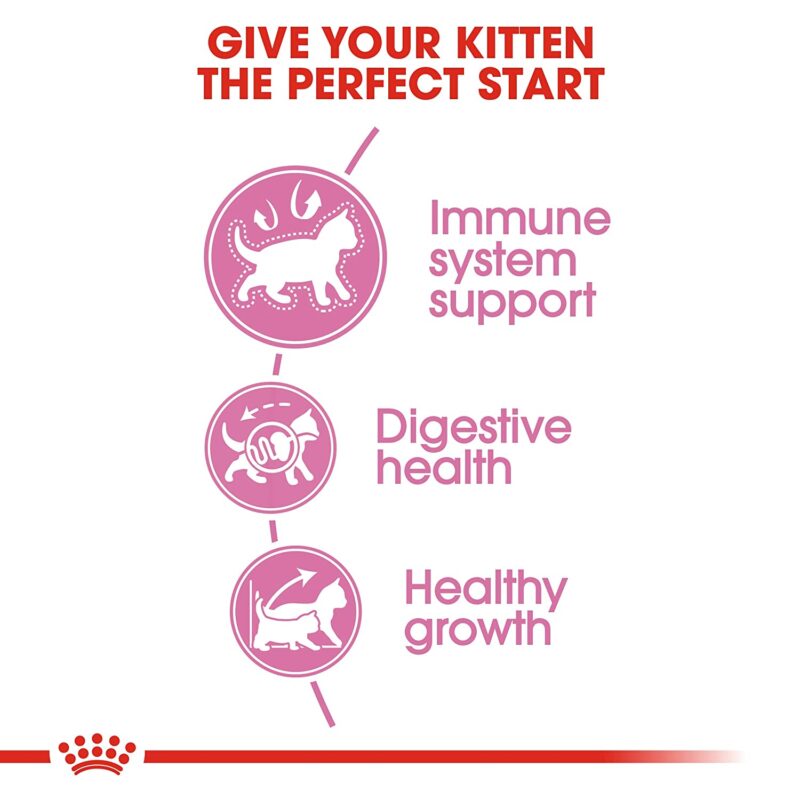 Royal Canin Second Age Kitten 36 Dry Food