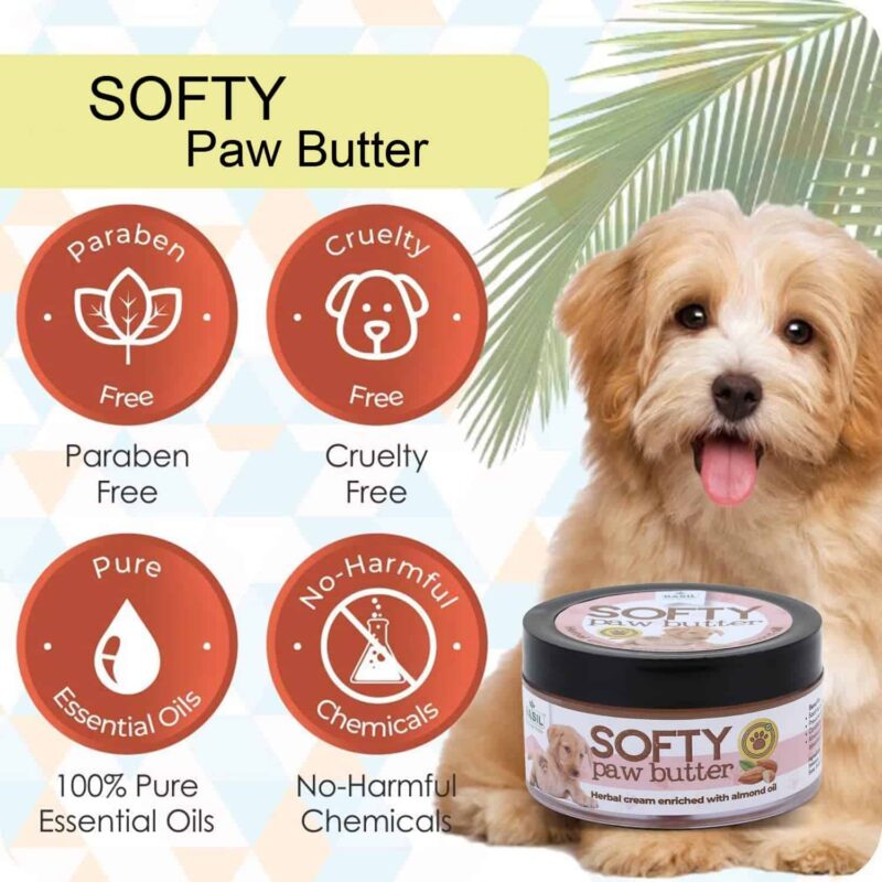 Basil Softy Paw Butter Herbal Cream Enriched with Almond Oil - 50gm