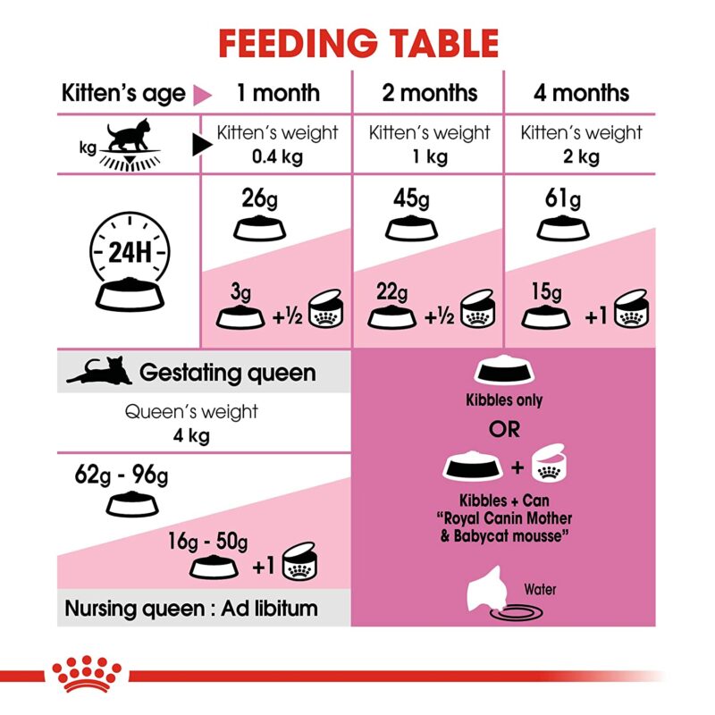 Royal Canin Cat (Mother & Baby) Dry Food