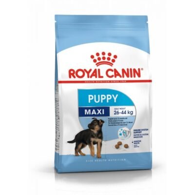 Best website to buy dog cheap food